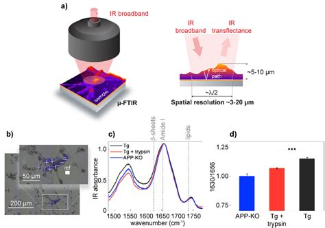 Introduction to Fourier Transform Infrared Spectroscopy.